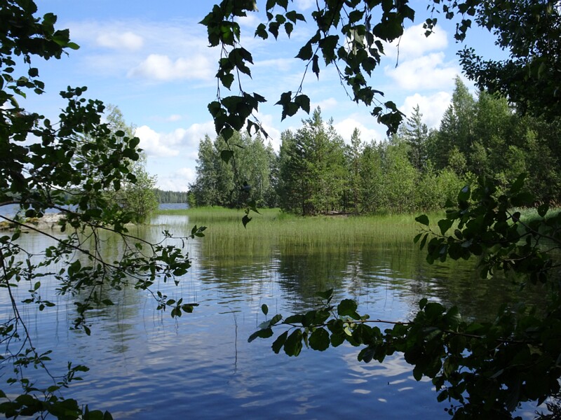 DSC04305