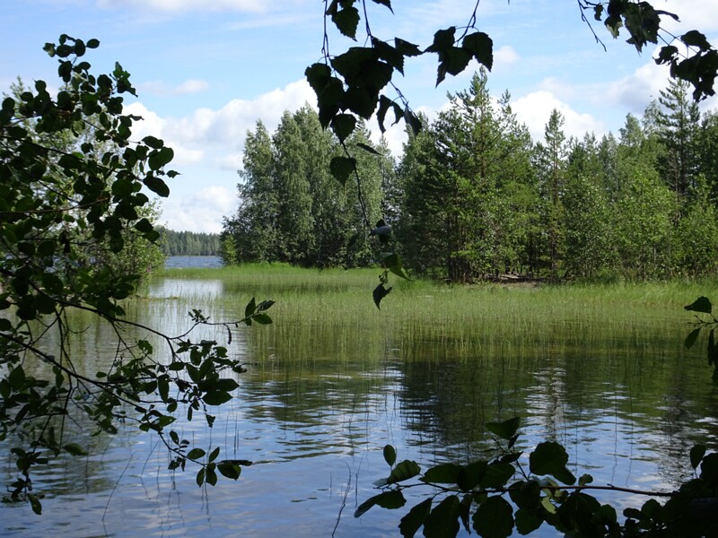 DSC04306
