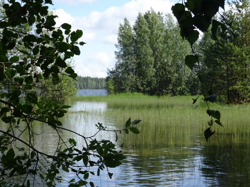 DSC04307