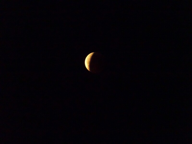 DSC04531