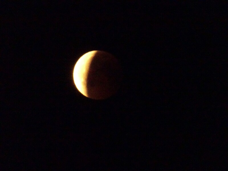 DSC04555