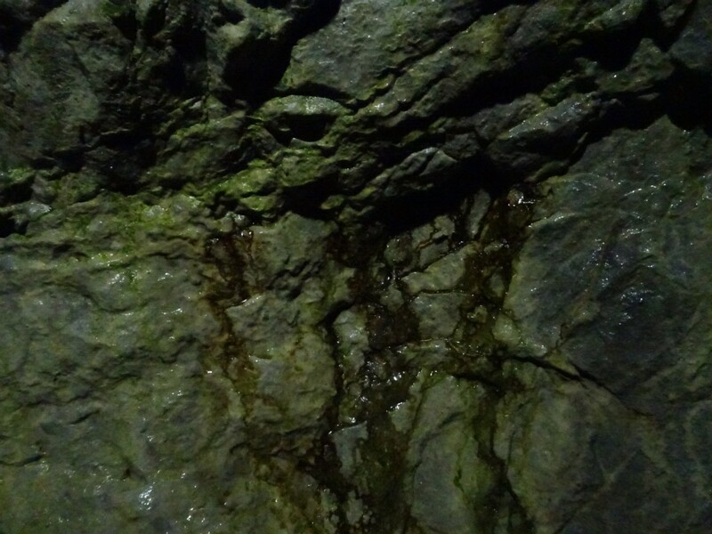 DSC04466